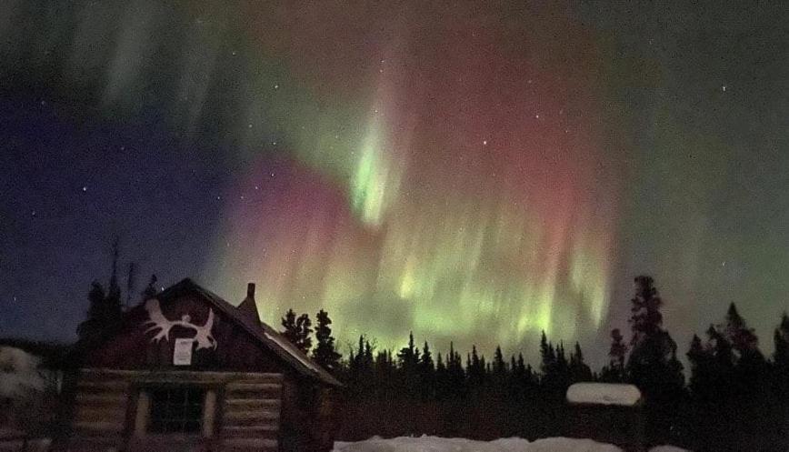 Mount Logan Ecolodge & Retreat Center ヘーンズ・ジャンクション エクステリア 写真